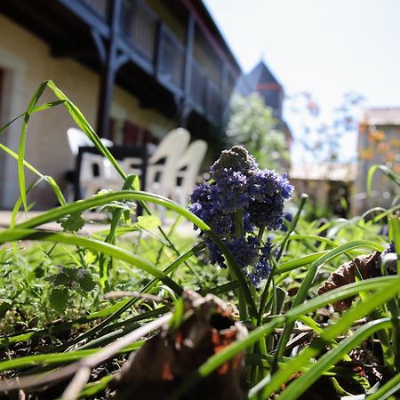 Au Repos Des Elfes Braye-sous-Faye Exterior foto