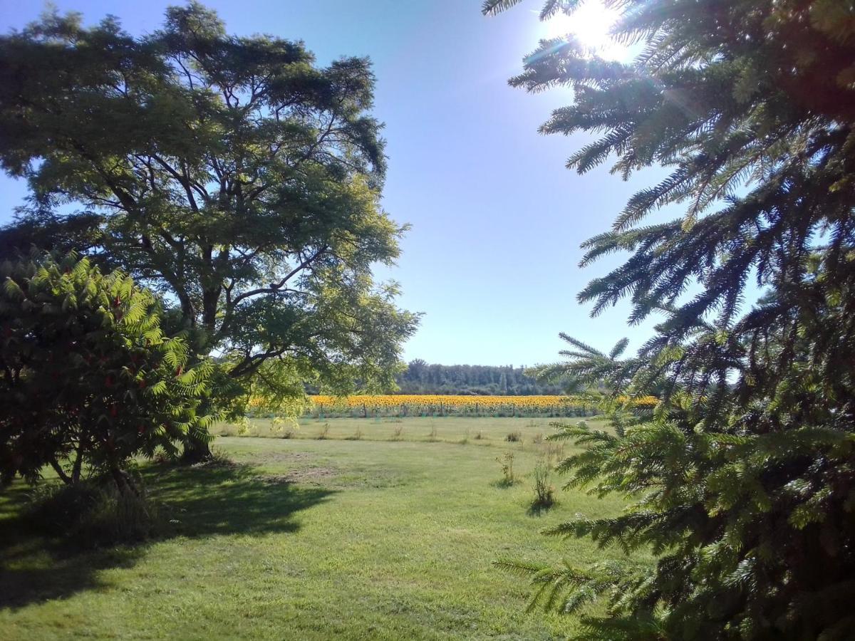 Au Repos Des Elfes Braye-sous-Faye Exterior foto