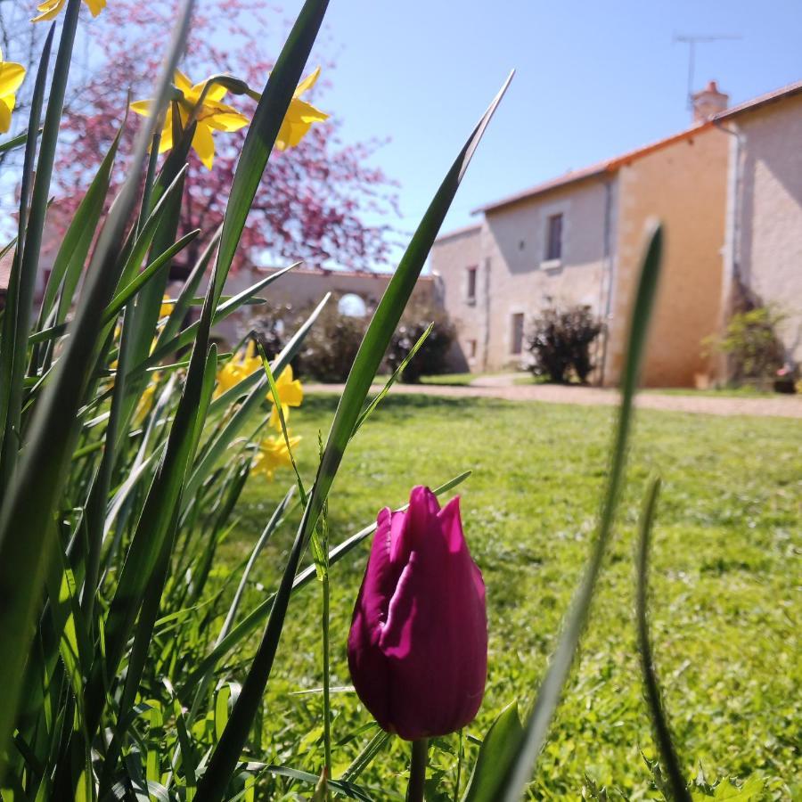 Au Repos Des Elfes Braye-sous-Faye Exterior foto
