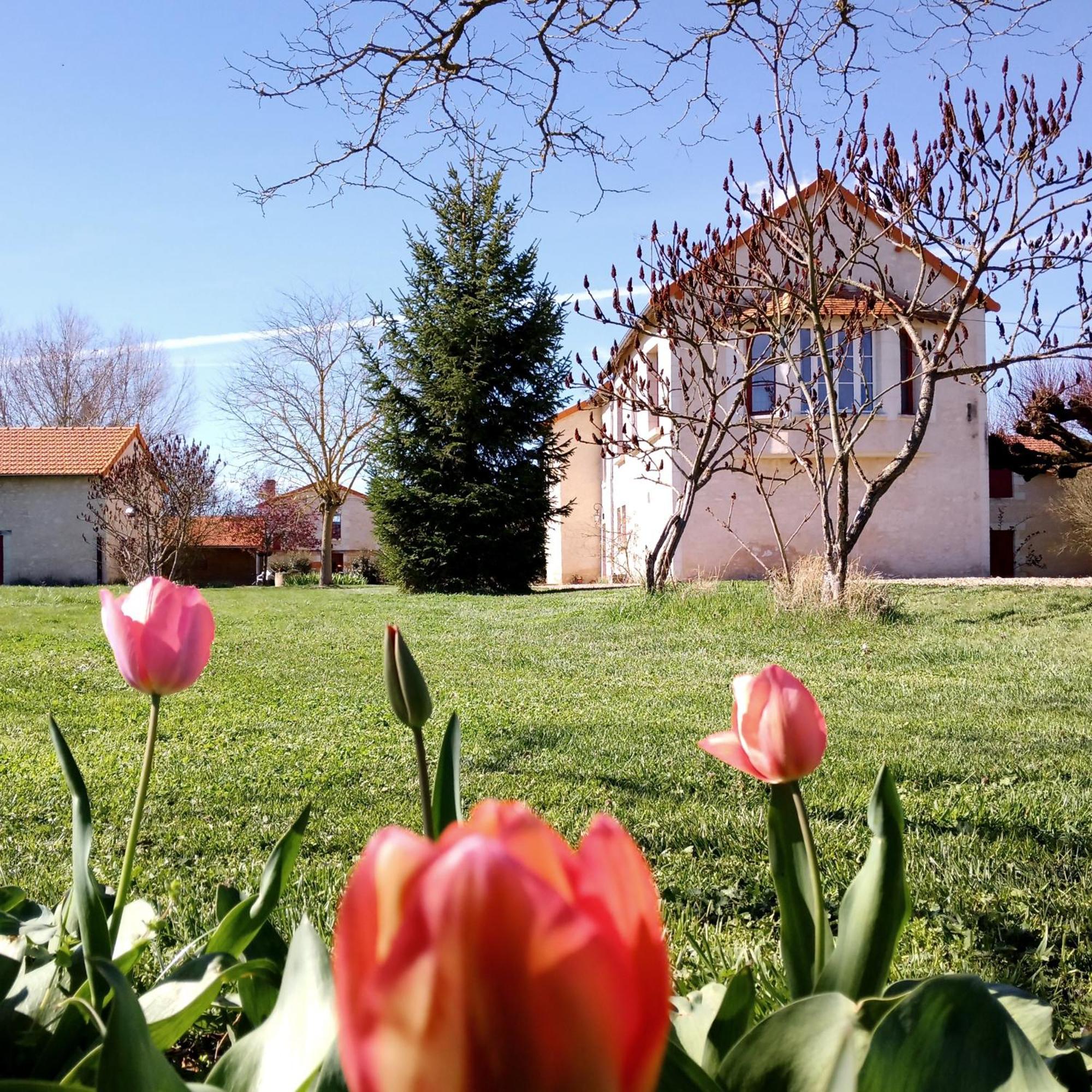 Au Repos Des Elfes Braye-sous-Faye Exterior foto